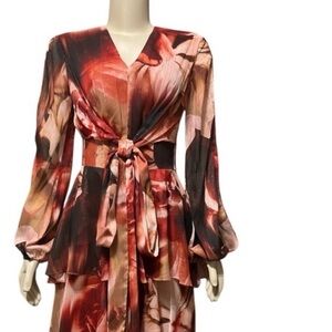 Alex Marie Multicolor Long Sleeve Dress